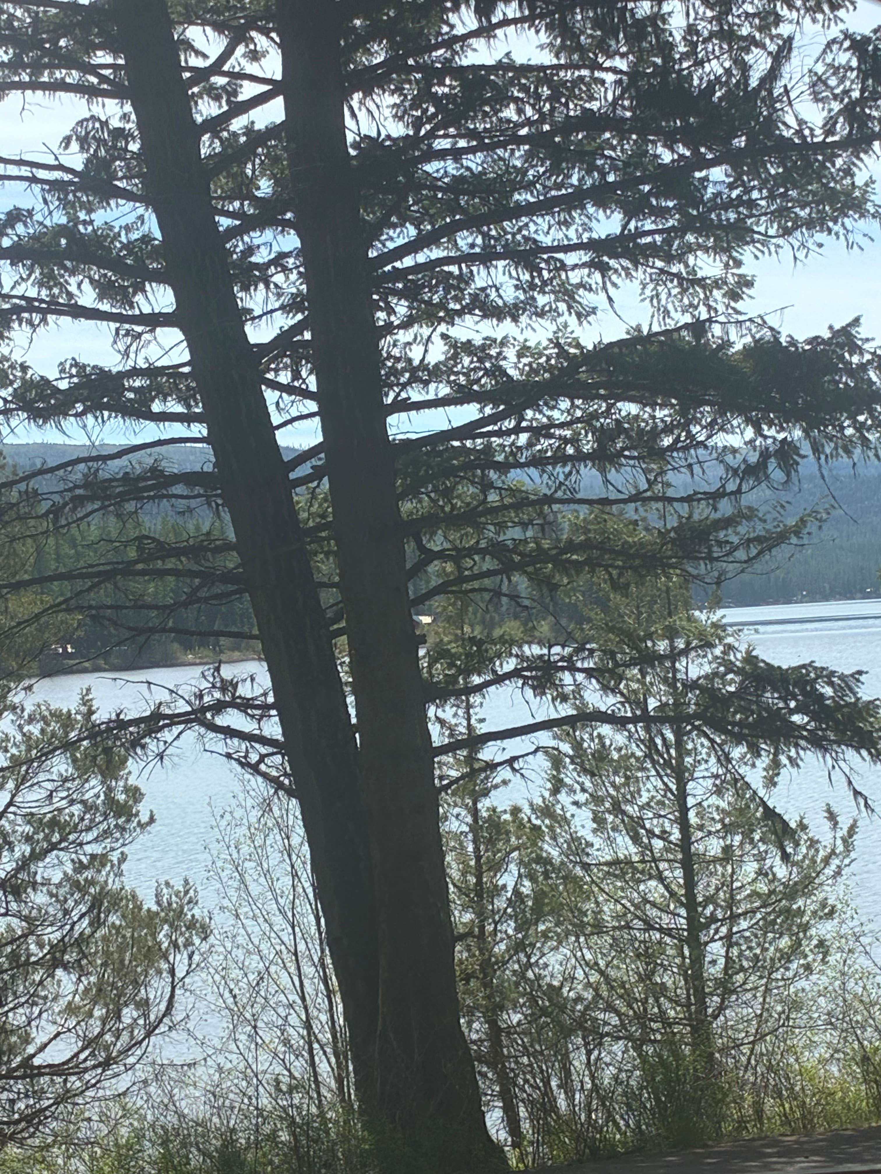 Camper-submitted photo at Placid Lake State Park Campground near Seeley Lake, MT