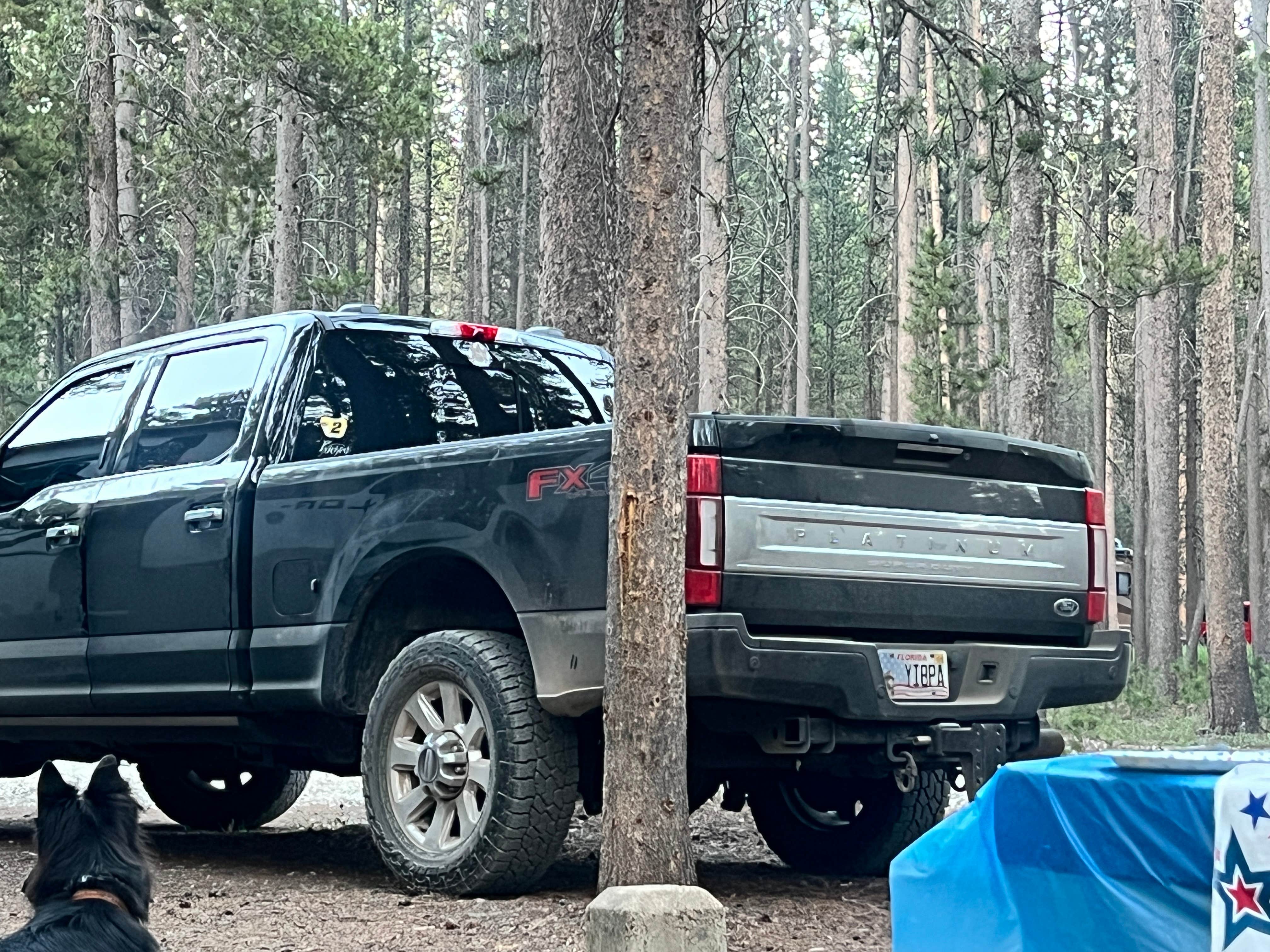 Kimberly N.'s photo of camping with pets at Rainbow Point Campground near Yellowstone National Park