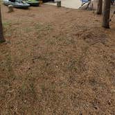 Review photo of Rainbow Point Campground by Dave V., July 9, 2026