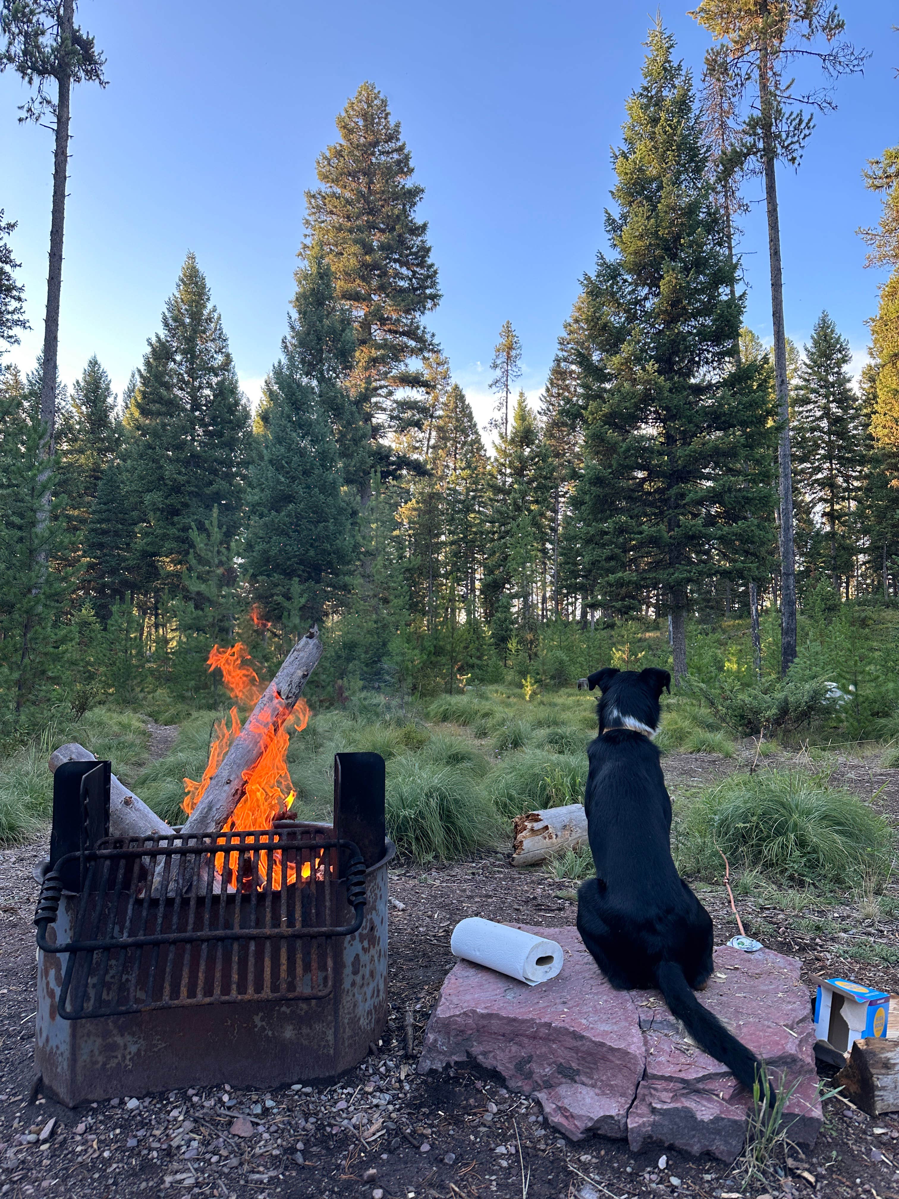 Camping near Holland Lake Campground: Rainy Lake Campground, Condon, Montana