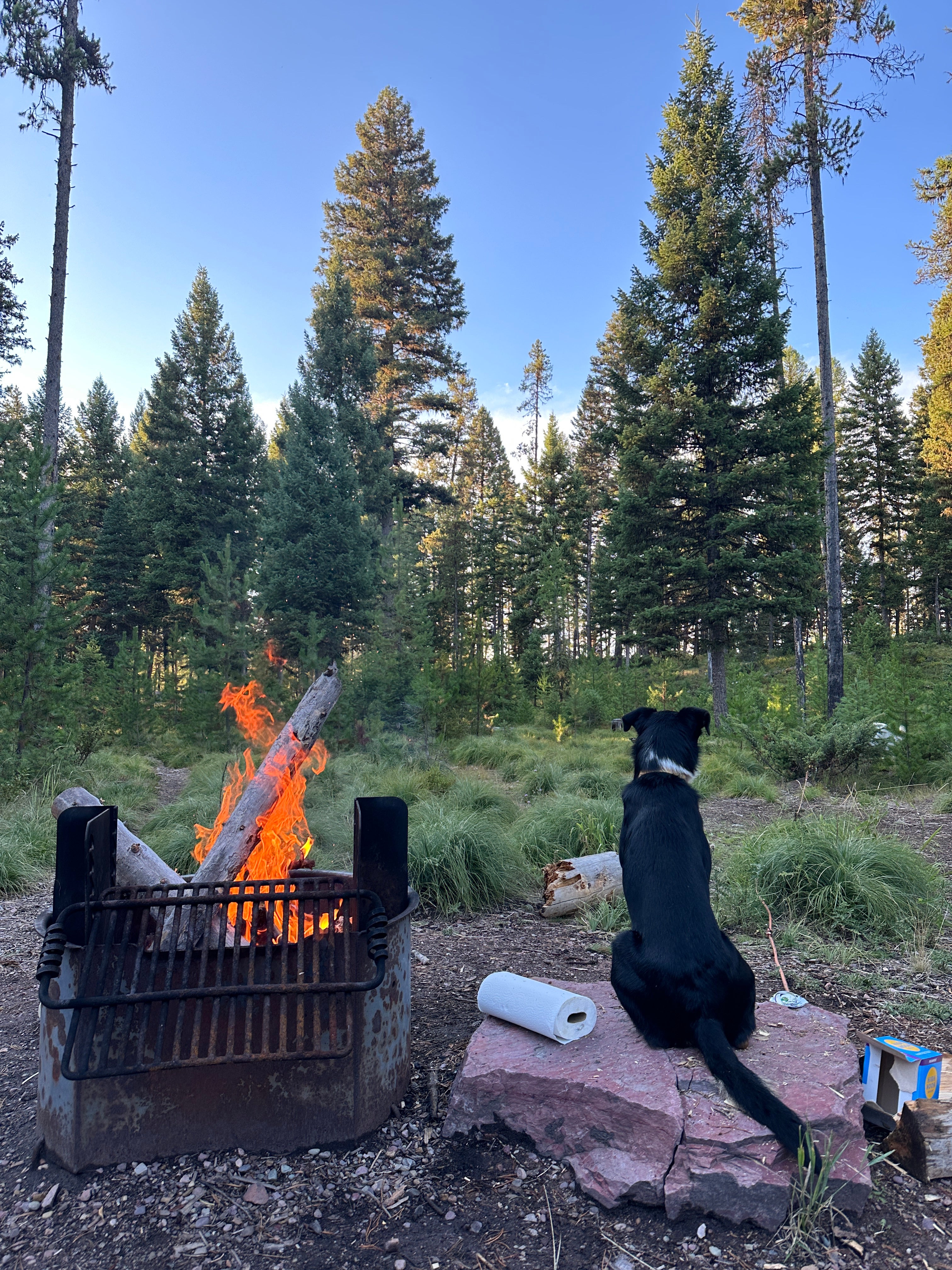 Camper submitted image from Rainy Lake Campground - 1