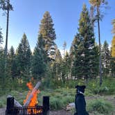 Review photo of Rainy Lake Campground by Taylor H., September 18, 2023