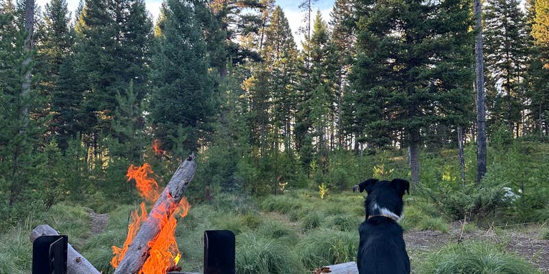 Camper submitted image from Rainy Lake Campground