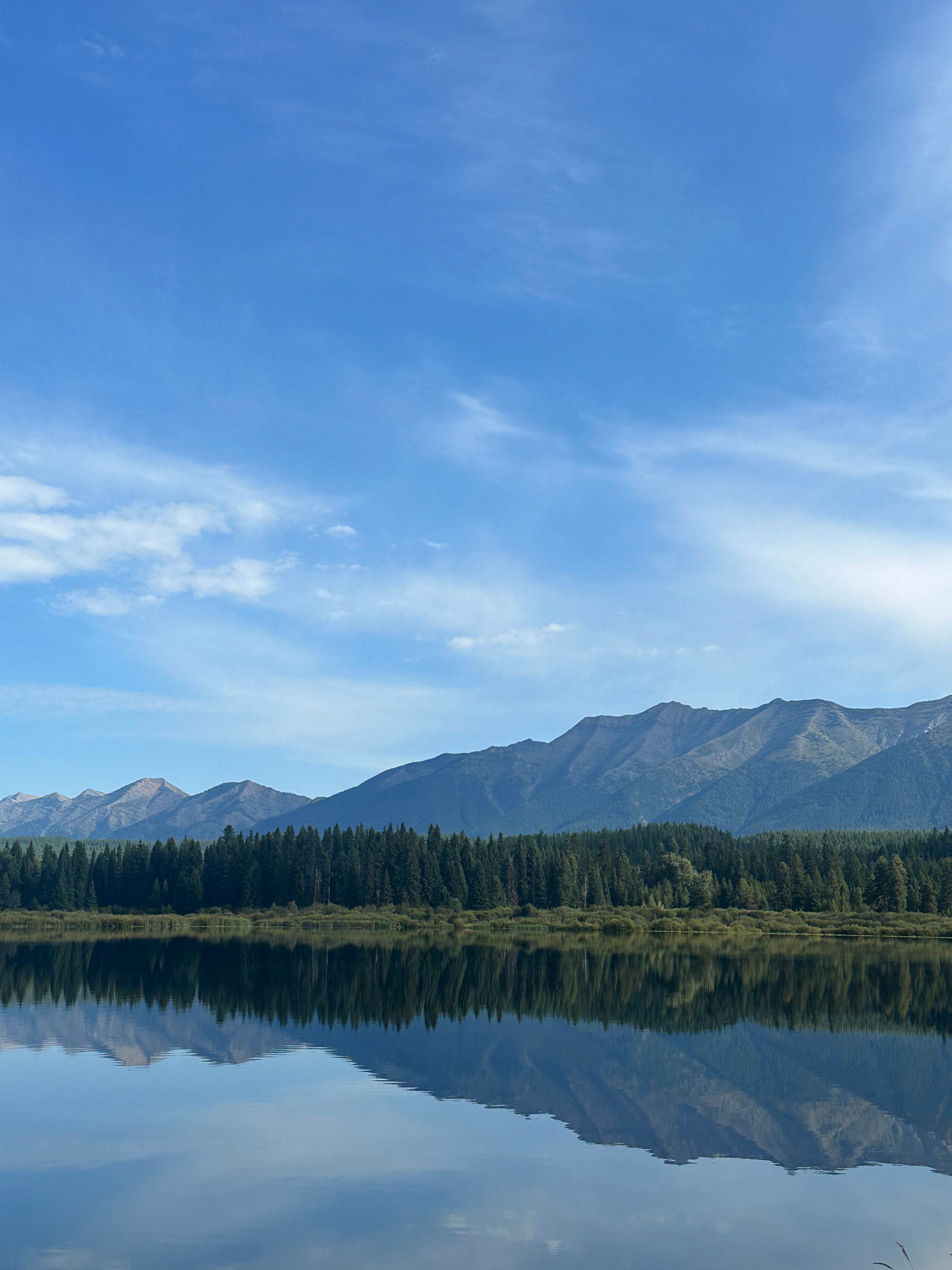 Camper submitted image from Rainy Lake Campground - 3