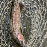 Review photo of Raynolds Pass Fishing Access Site by David R., July 25, 2026