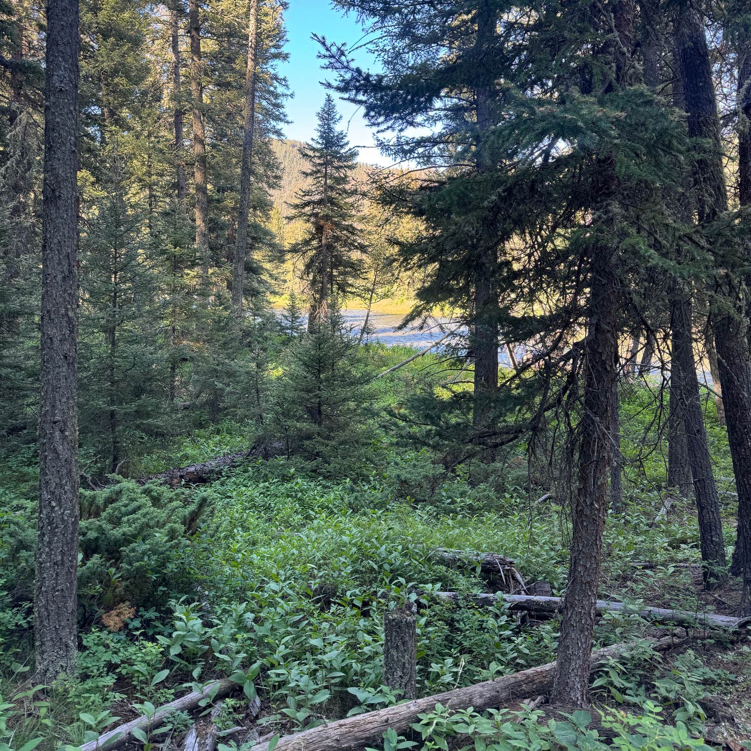 Red Cliff Campground | Big Sky, Montana