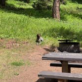 Review photo of Red Cliff Campground by Soren B., July 11, 2025