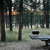 Review photo of Red Shale Campground & Geocache Site by Sherri A., August 21, 2026