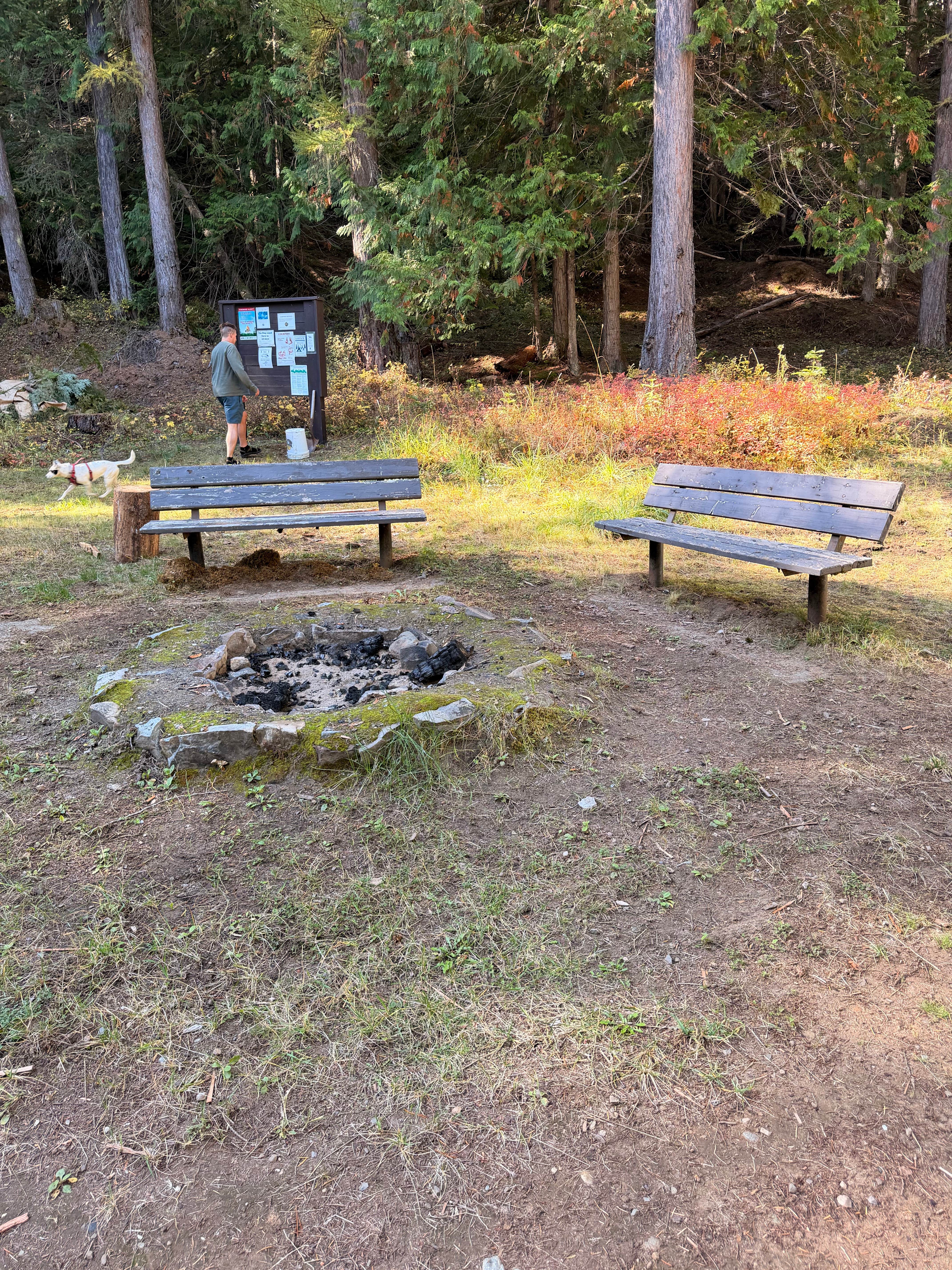 Camping near Solomon Lake Campsite: Red Top Campground, Moyie Springs, Montana