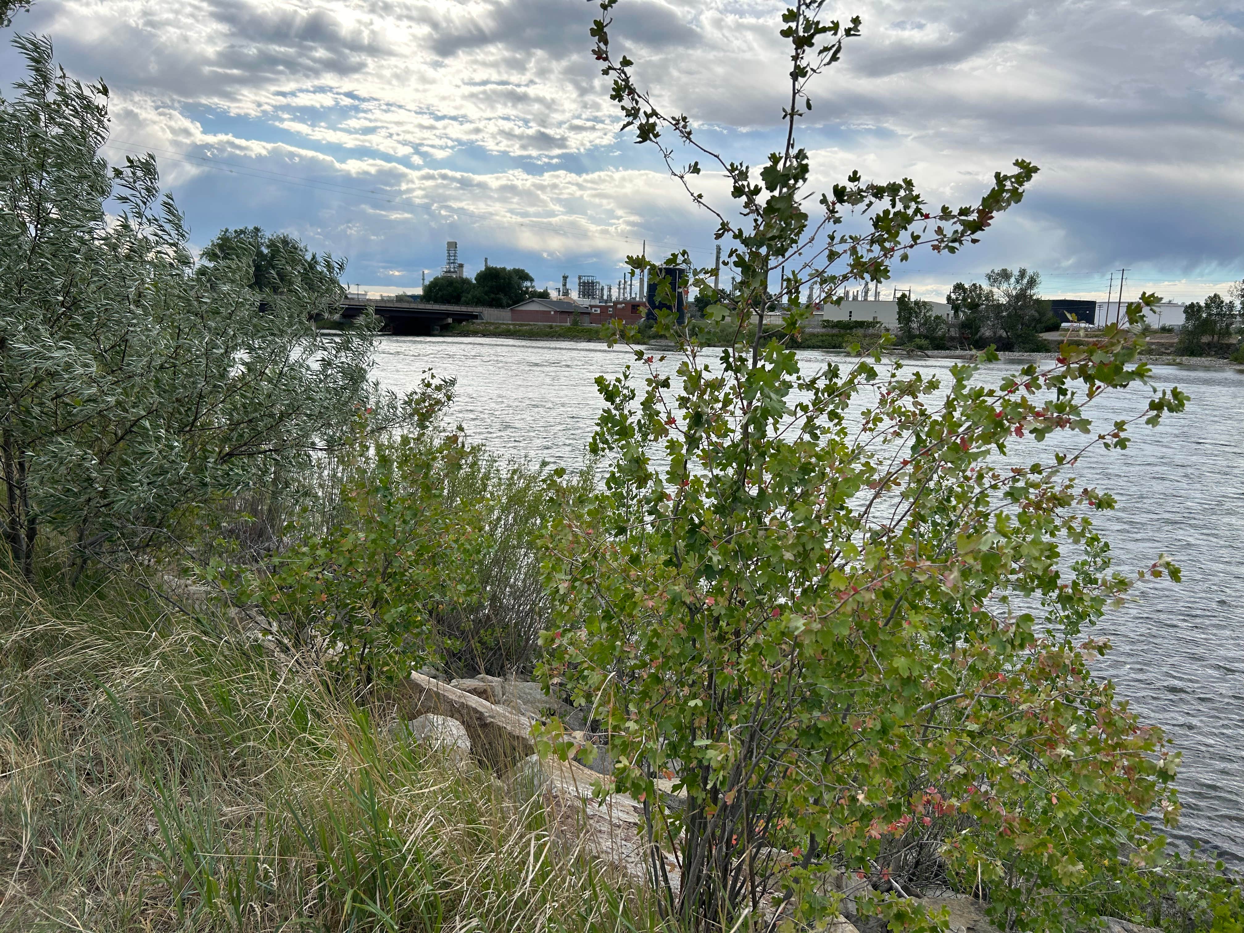 Camper-submitted photo at Riverside City Park near Laurel, MT