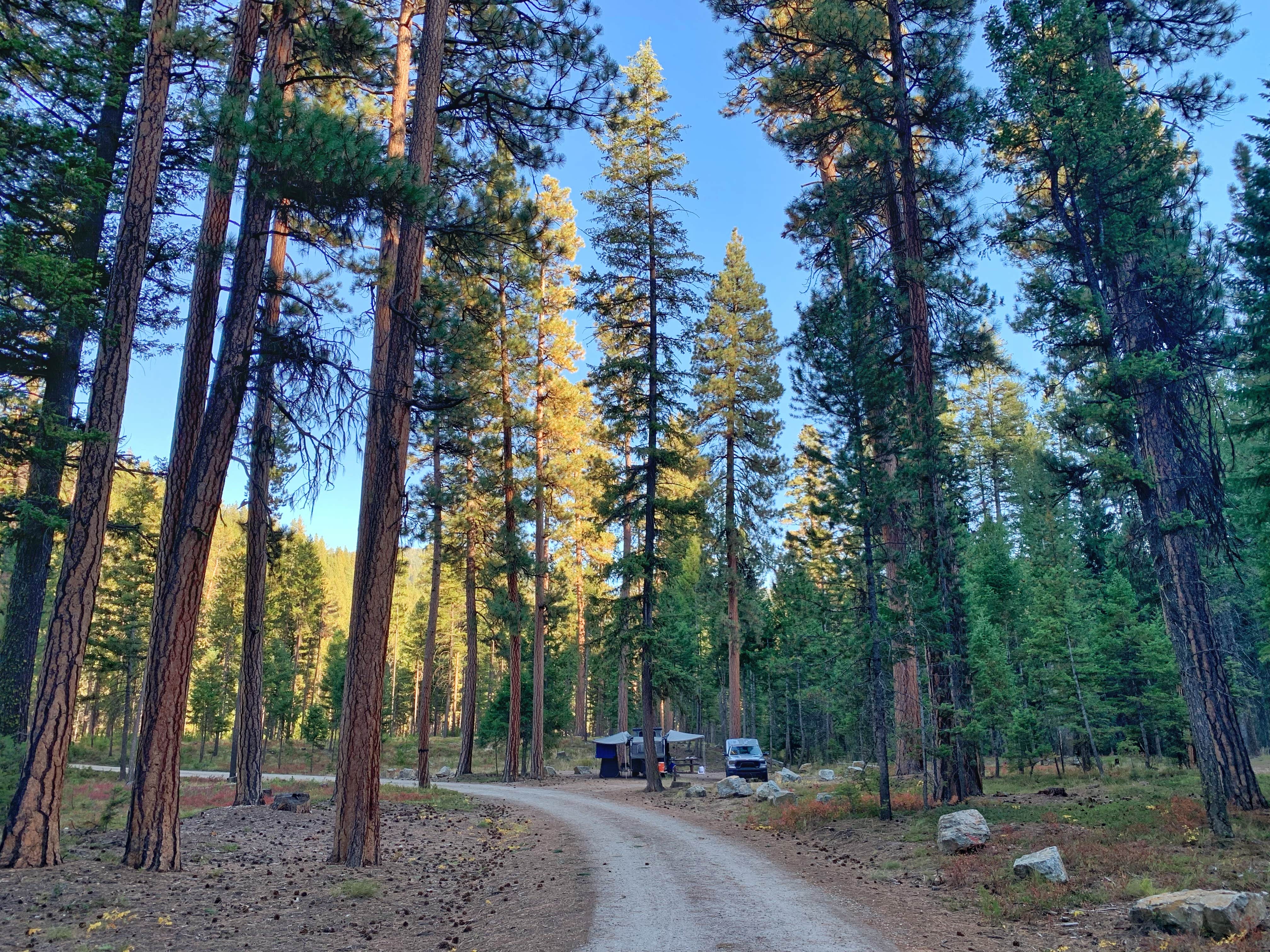 Camper submitted image from Sam Billings Memorial Campground - 3