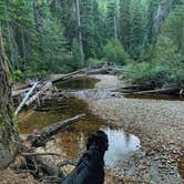 Review photo of Sam Billings Memorial Campground by Sadie P., February 23, 2025