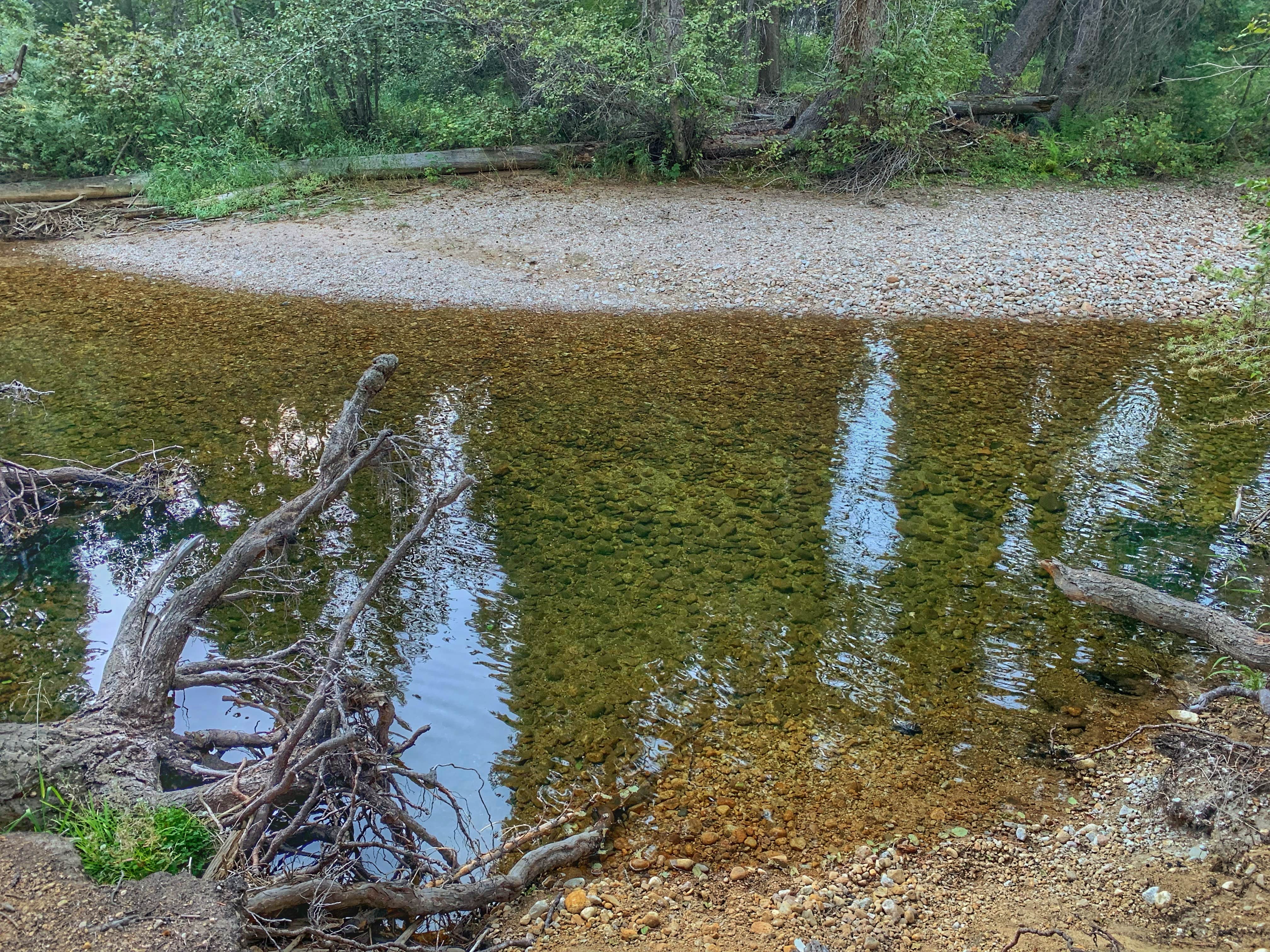 Camper-submitted photo at Sam Billings Memorial Campground near Conner, MT