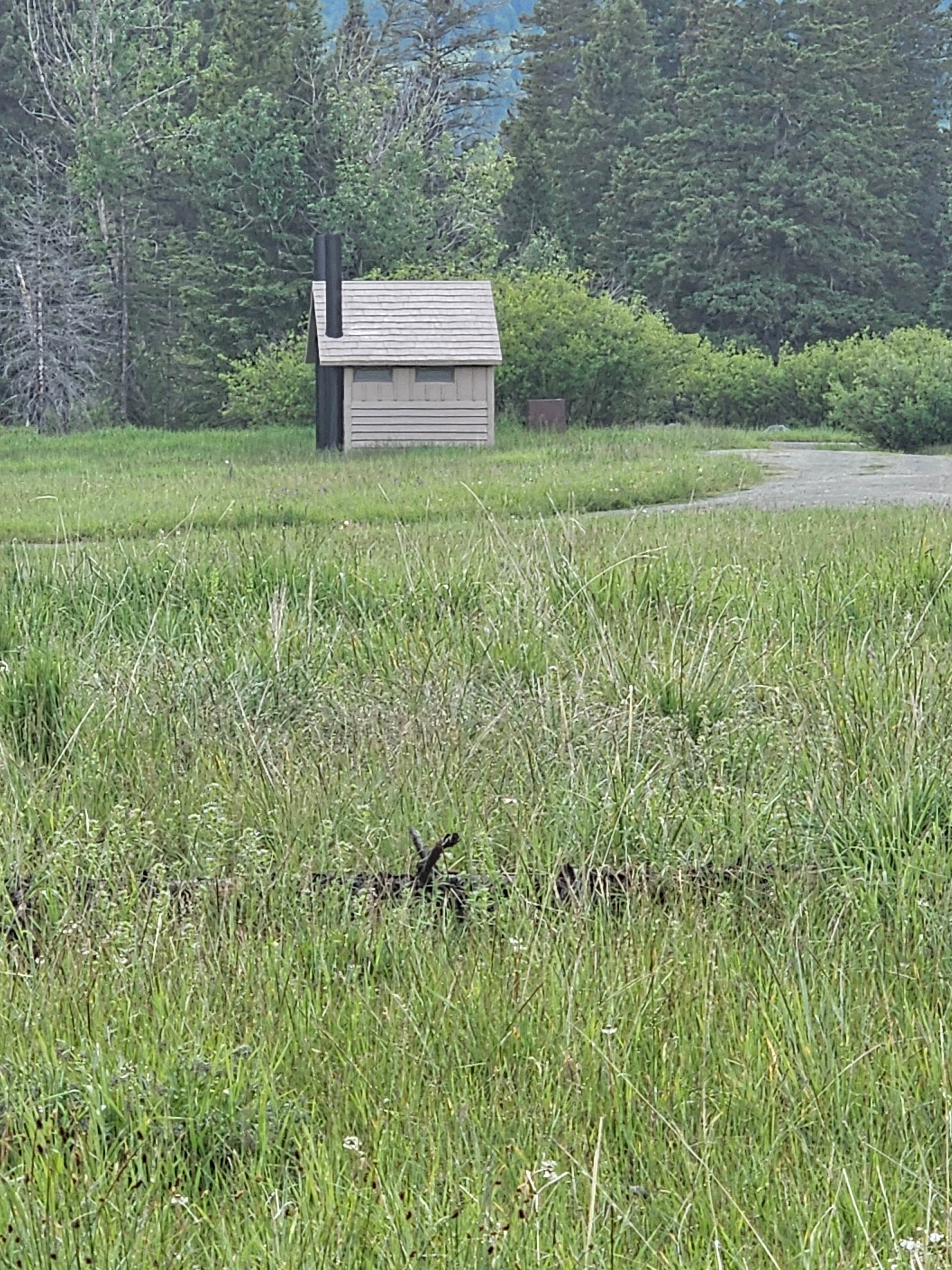 Camper-submitted photo at Shields River Campground near Greycliff, MT
