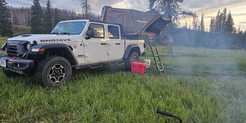 Camper submitted image from Shields River Campground