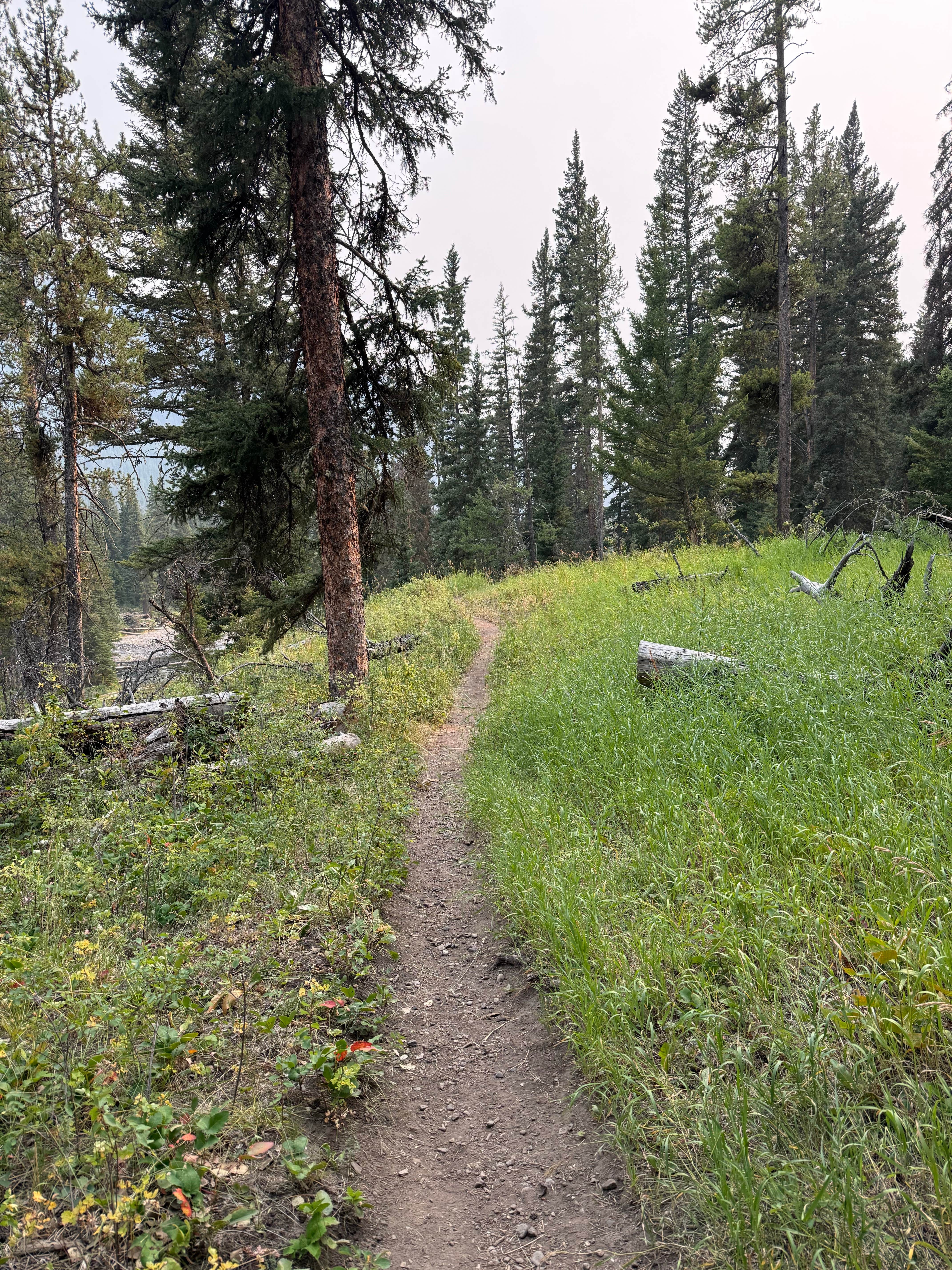 Camper-submitted photo at Soda Butte Campground near Silver Gate, MT