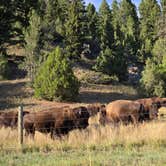 Review photo of Spanish Creek Picnic Area by Eric Z., September 10, 2026