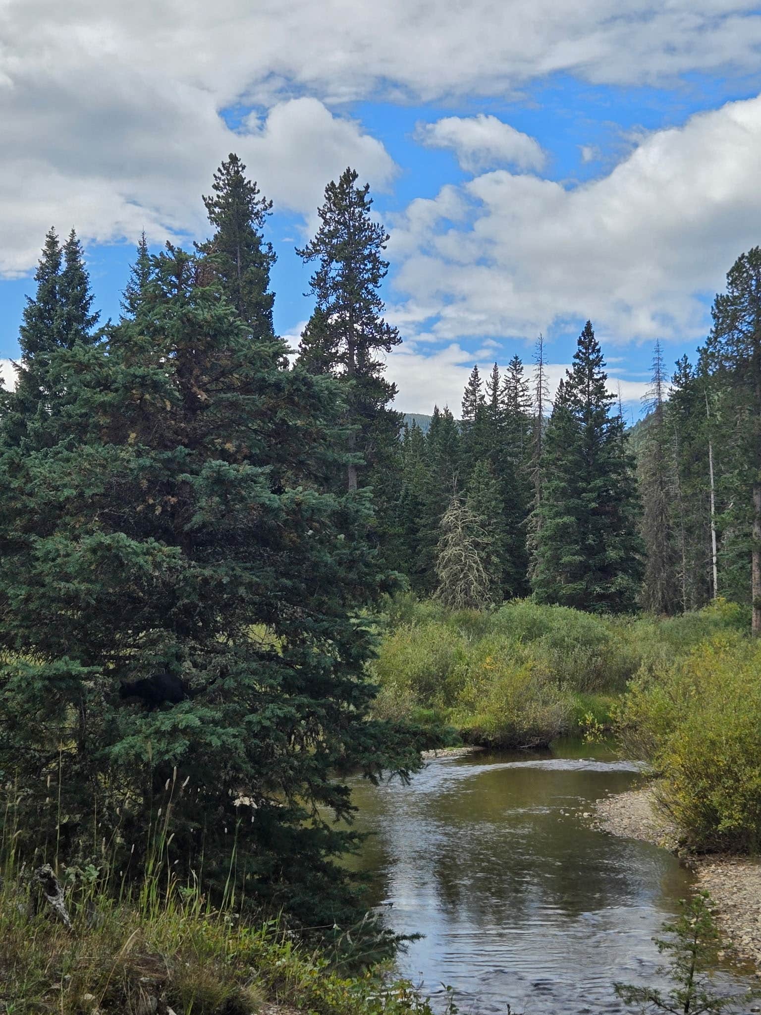 Camper-submitted photo at Spanish Creek Picnic Area near Sheridan, MT