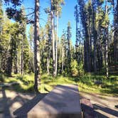 Review photo of Spring Hill Campground by Heatherann W., July 8, 2026