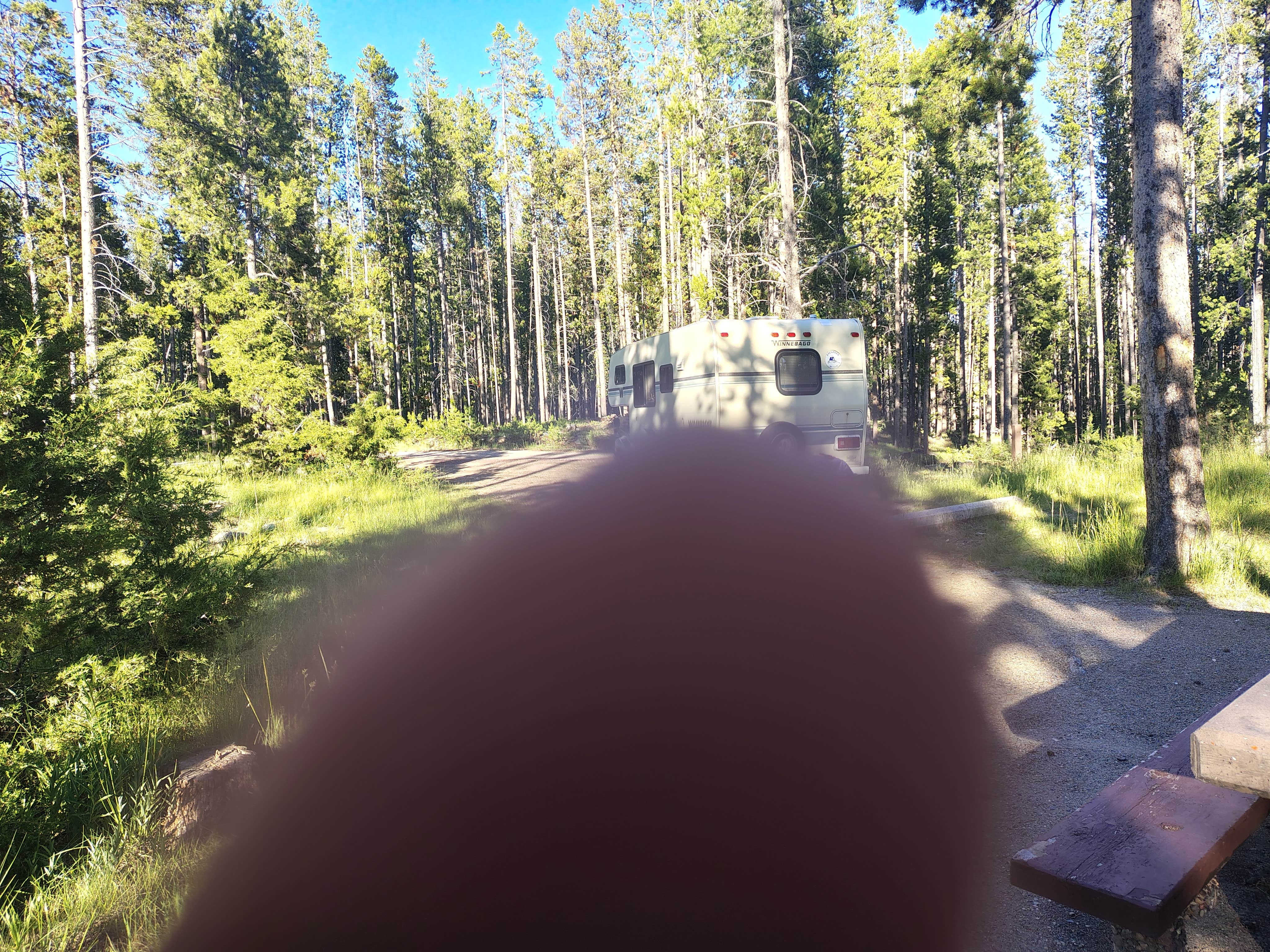 Heatherann W.'s photo at Spring Hill Campground near Philipsburg, MT