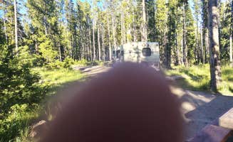 Heatherann W.'s photo at Spring Hill Campground near Philipsburg, MT