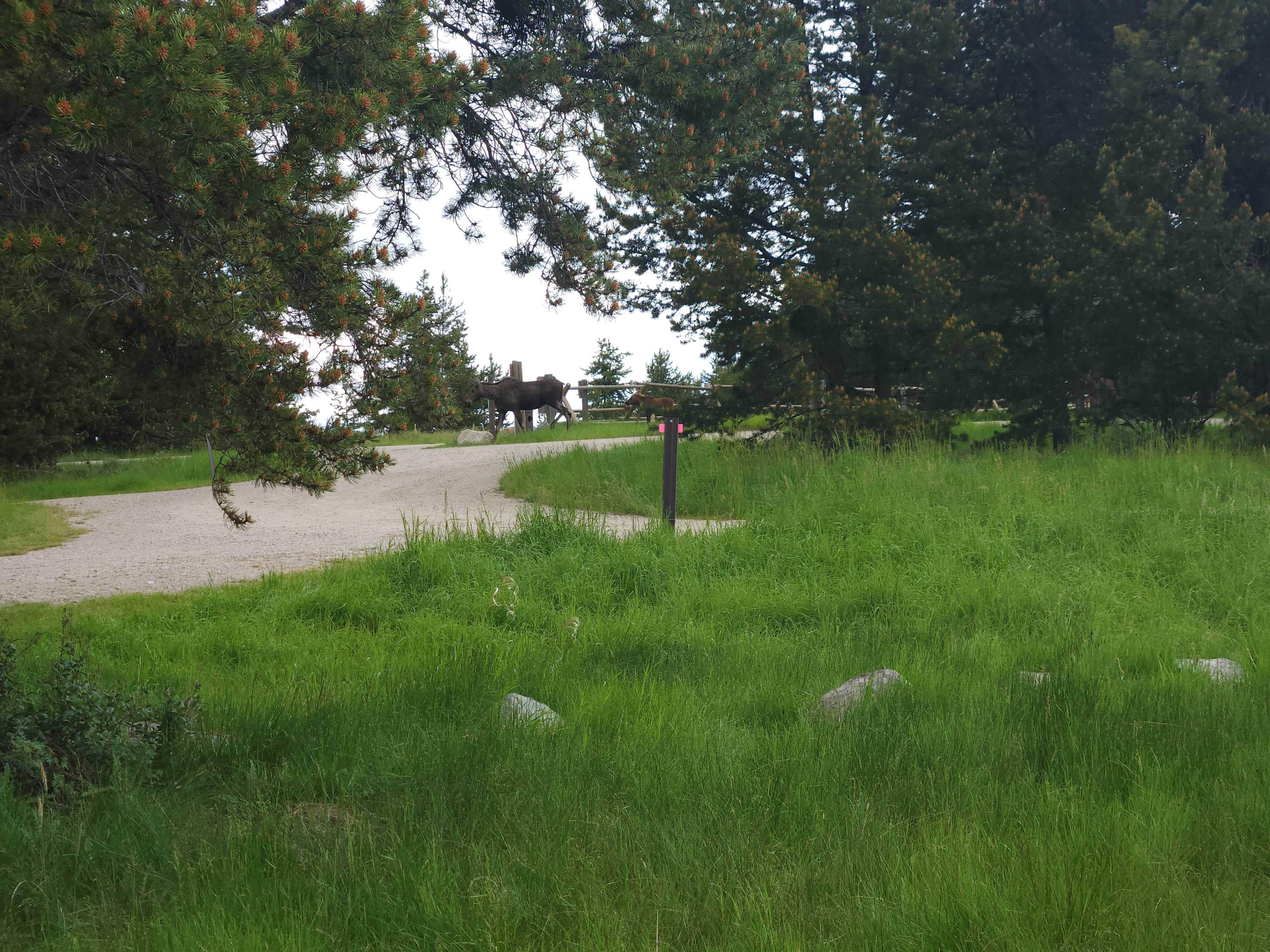 Camper-submitted photo at Stuart Mill Bay near Deer Lodge, MT