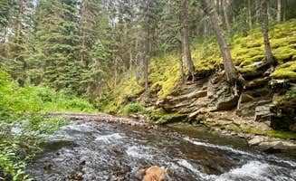 Stephanie W.'s photo of camping with pets at Swan Creek Campground near Ennis, MT