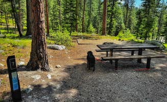 Sadie P.'s photo of camping with pets at Three Frogs Campground near Bitterroot National Forest
