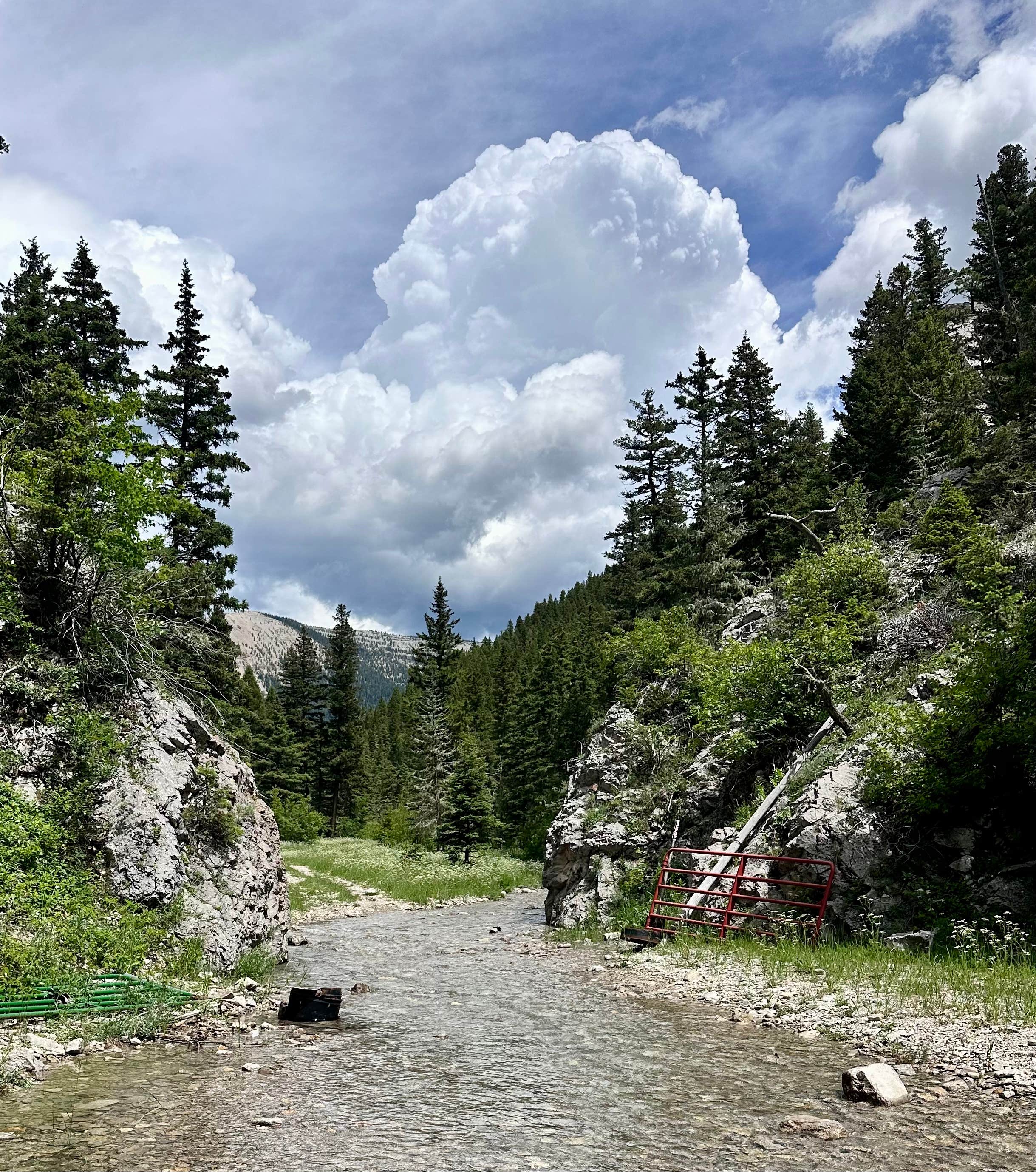 Camper-submitted photo at Timber Creek Dispersed Campground near Moore, MT