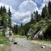 Review photo of Timber Creek Dispersed Campground by Kirsten L., July 5, 2026