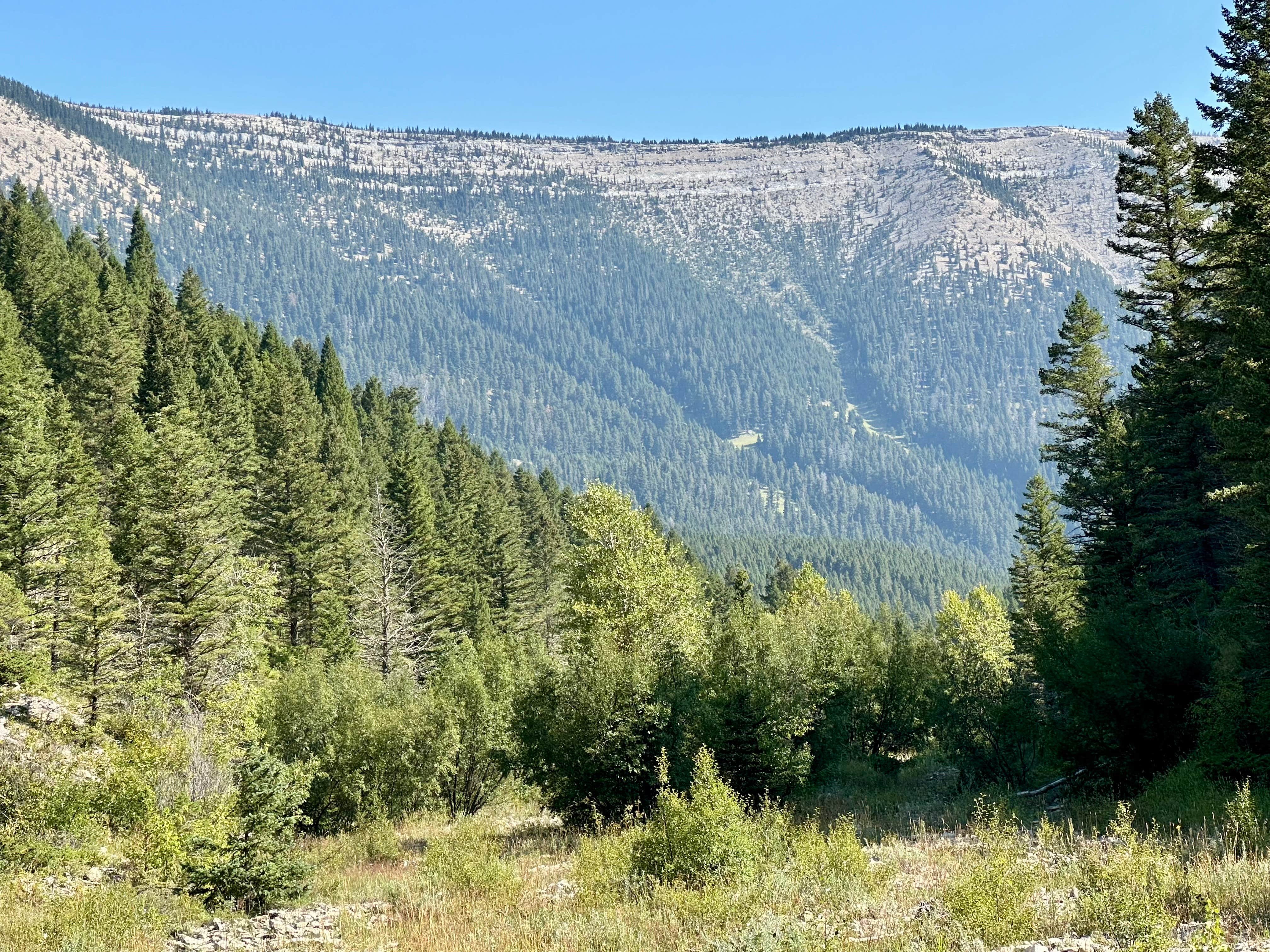 Camper-submitted photo at Timber Creek Dispersed Campground near Moore, MT