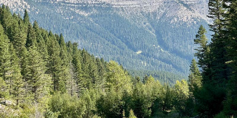 Camper submitted image from Timber Creek Dispersed Campground