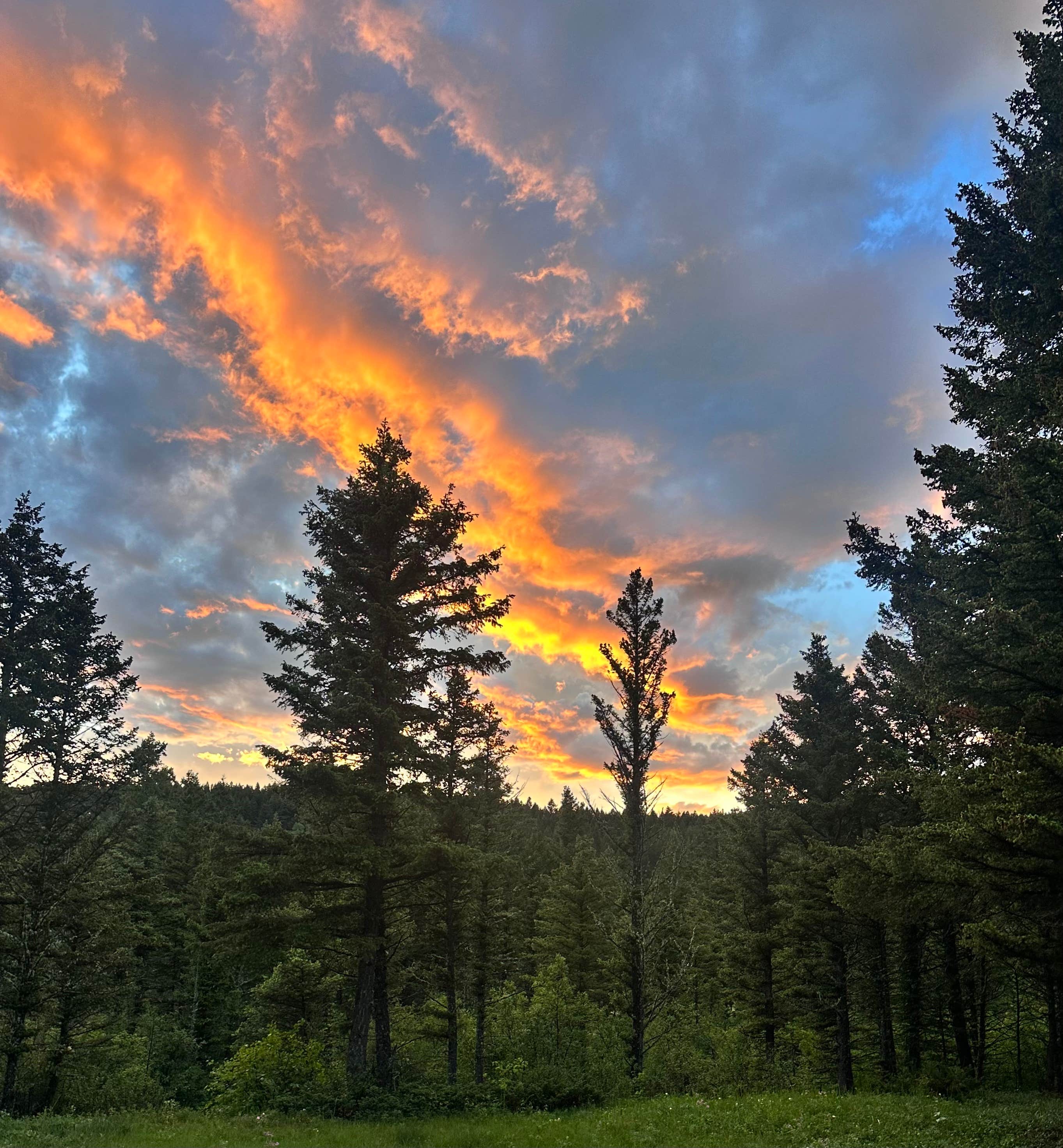 Camping near Crystal Lake Campground: Timber Creek Dispersed Campground, Moore, Montana