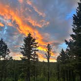 Review photo of Timber Creek Dispersed Campground by Kirsten L., July 5, 2026