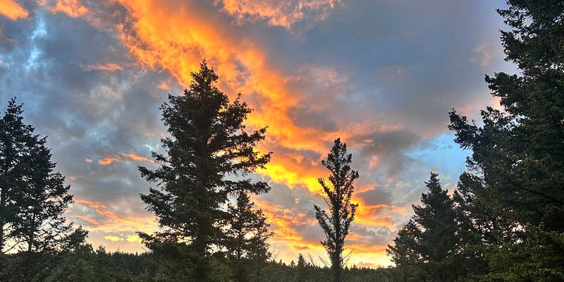 Camper submitted image from Timber Creek Dispersed Campground