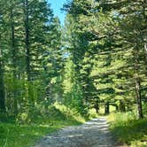 Review photo of Timber Creek Dispersed Campground by Sherri A., September 16, 2026
