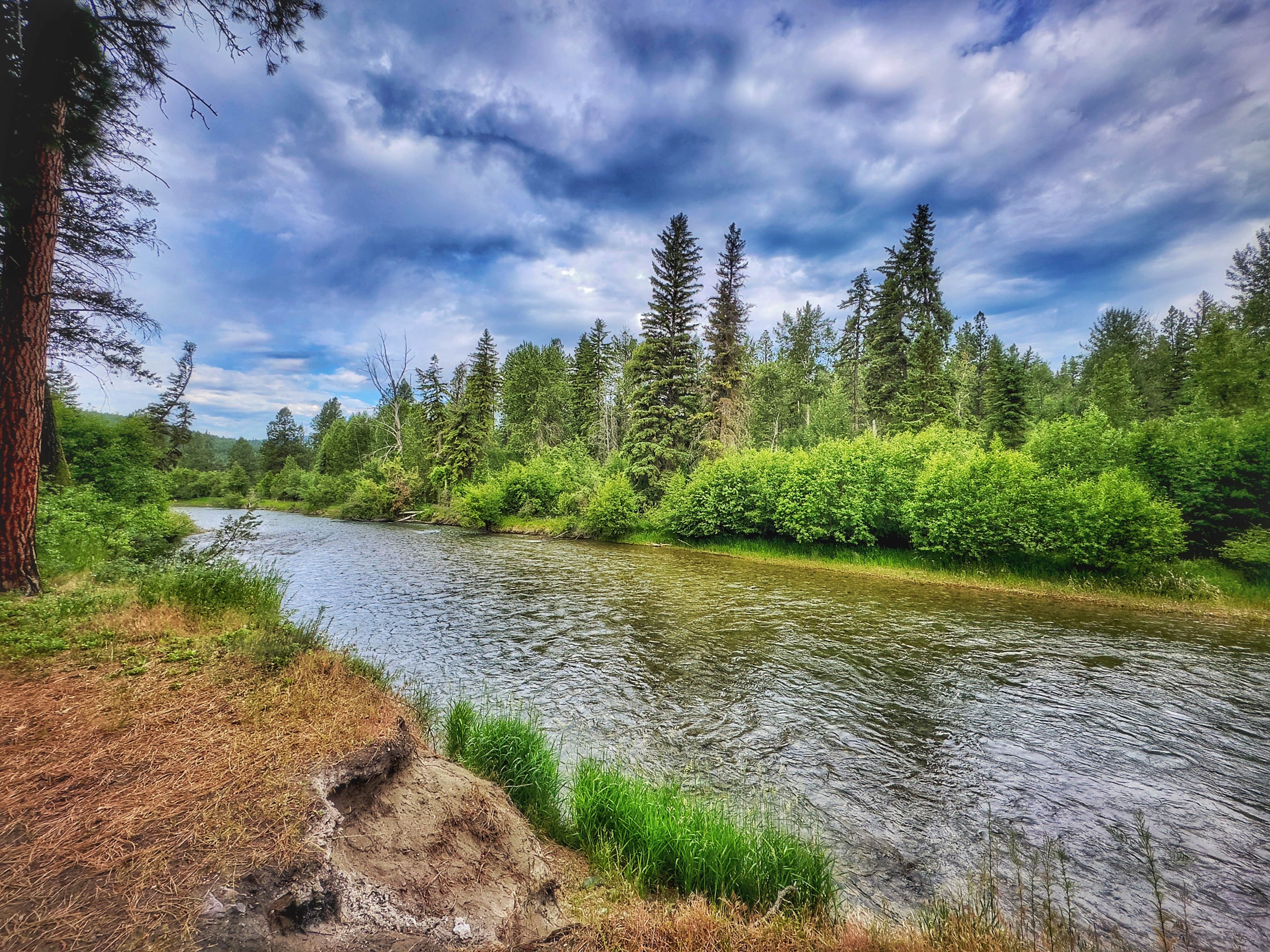 Camper-submitted photo at Tobacco River Campground near Rexford, MT