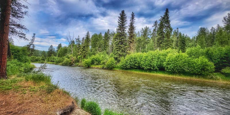 Camper submitted image from Tobacco River Campground