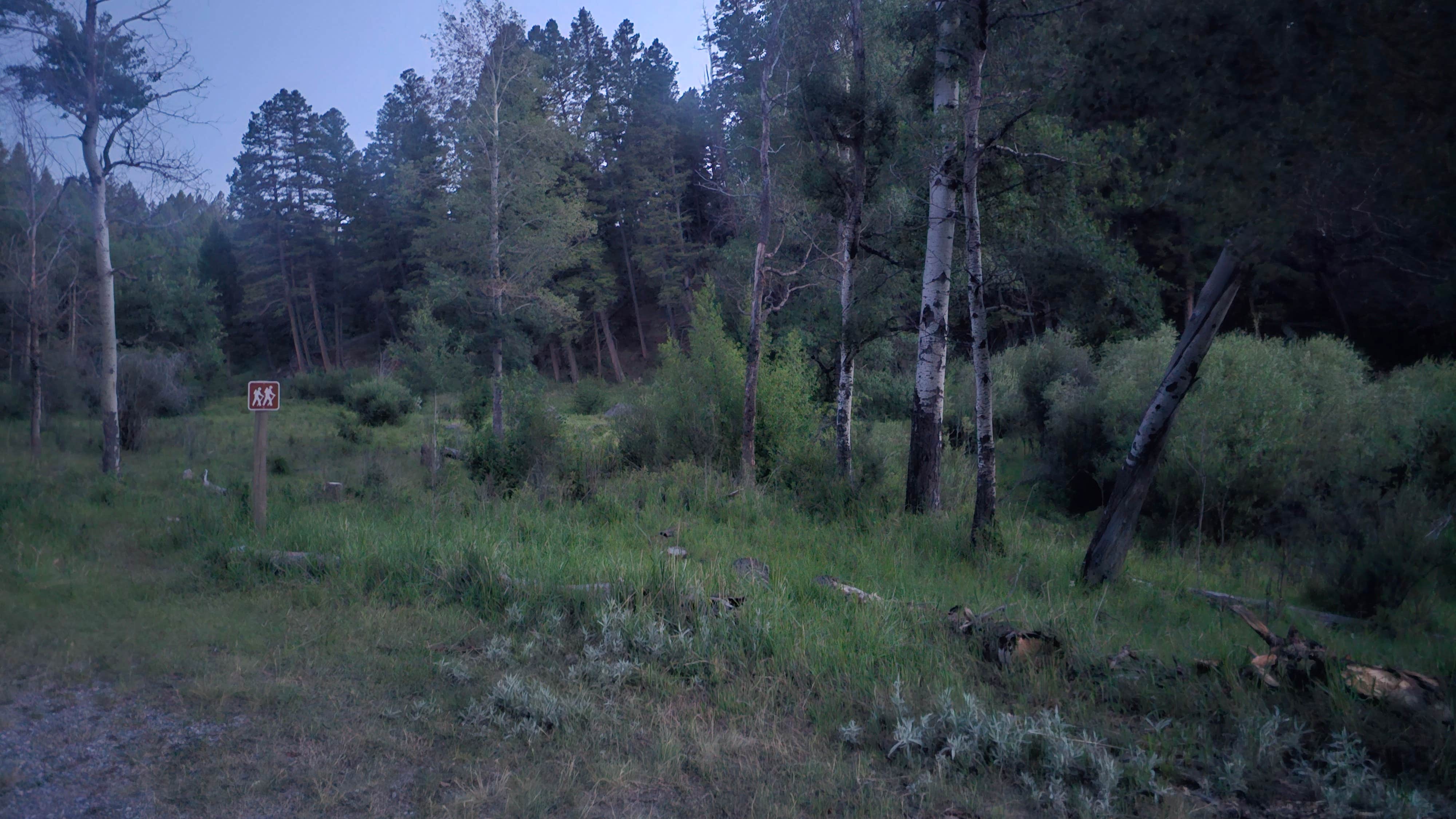 Camper-submitted photo at Toll Mountain Campground near Butte, MT
