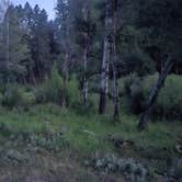 Review photo of Toll Mountain Campground by Cornbread W., August 5, 2026