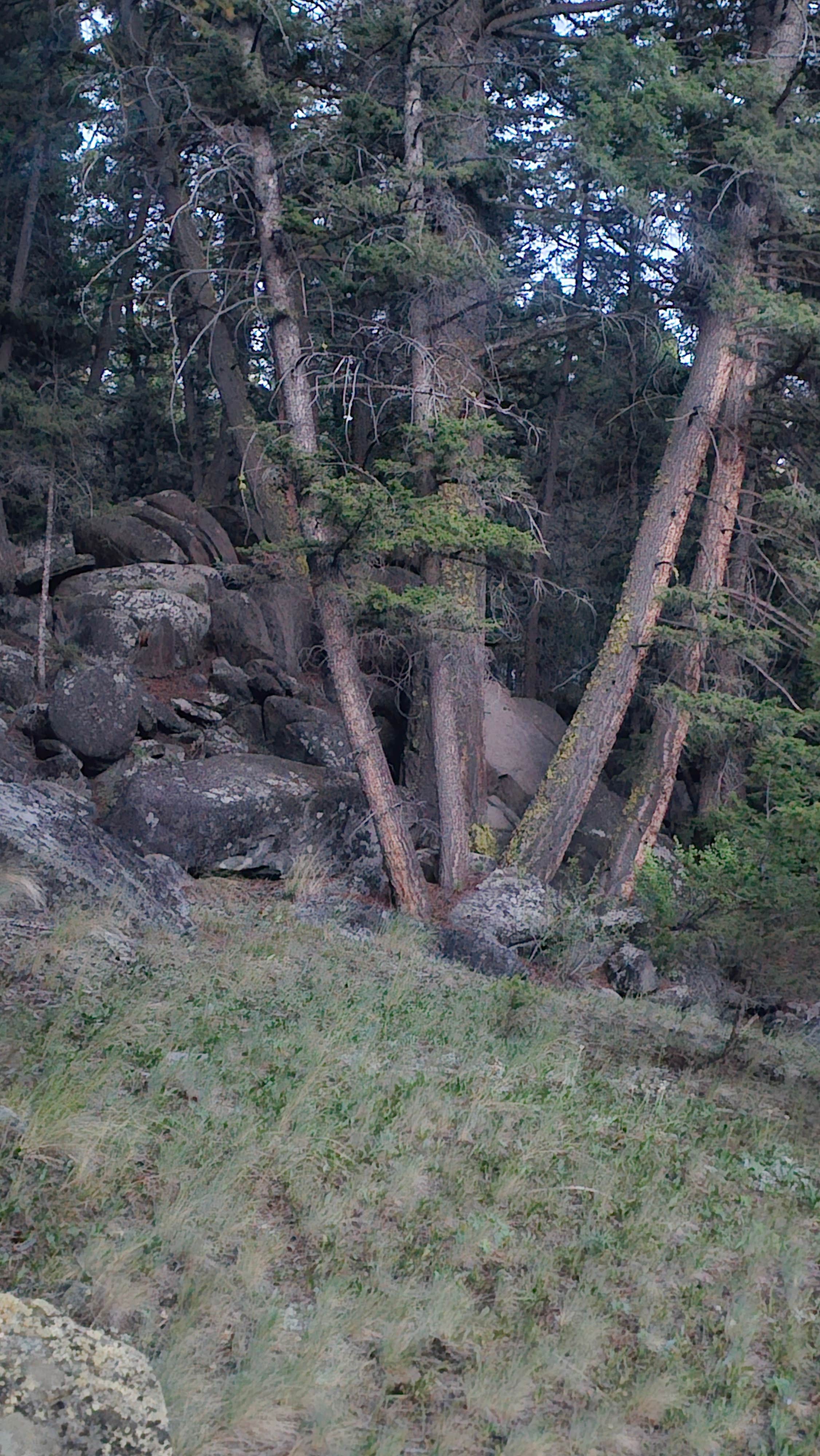 Camper-submitted photo at Toll Mountain Campground near Butte, MT
