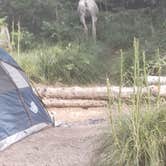 Review photo of Two Medicine Campground — Glacier National Park by Dannoo , July 10, 2025