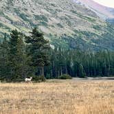 Review photo of Two Medicine Campground — Glacier National Park by Maddy T., August 26, 2025