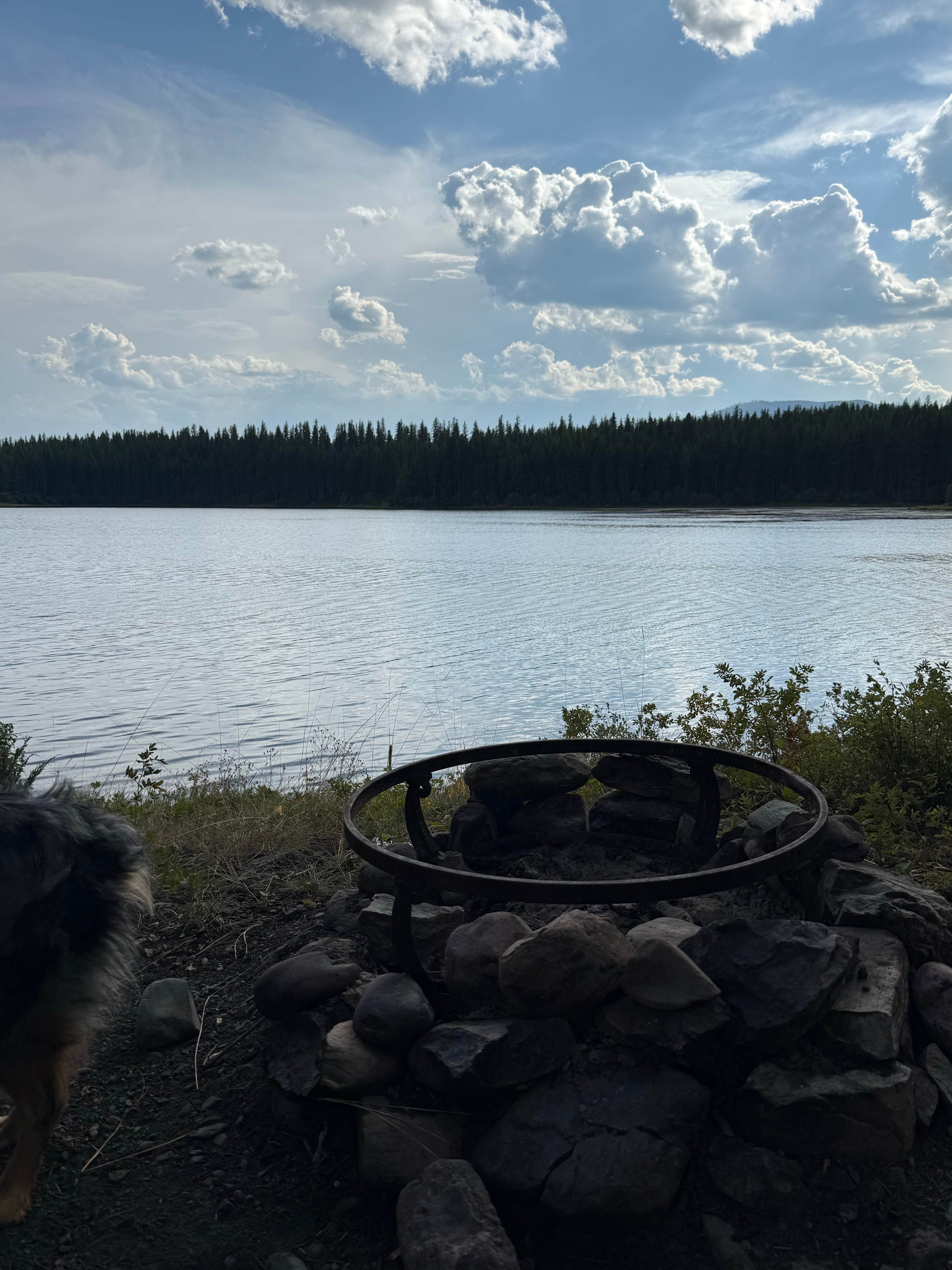 Reagan M.'s photo of camping with pets at Stillwater Lake near Eureka, MT