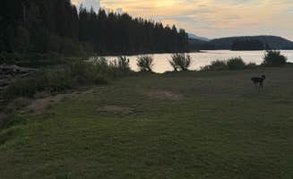 Reagan M.'s photo of camping with pets at Stillwater Lake near Polebridge, MT