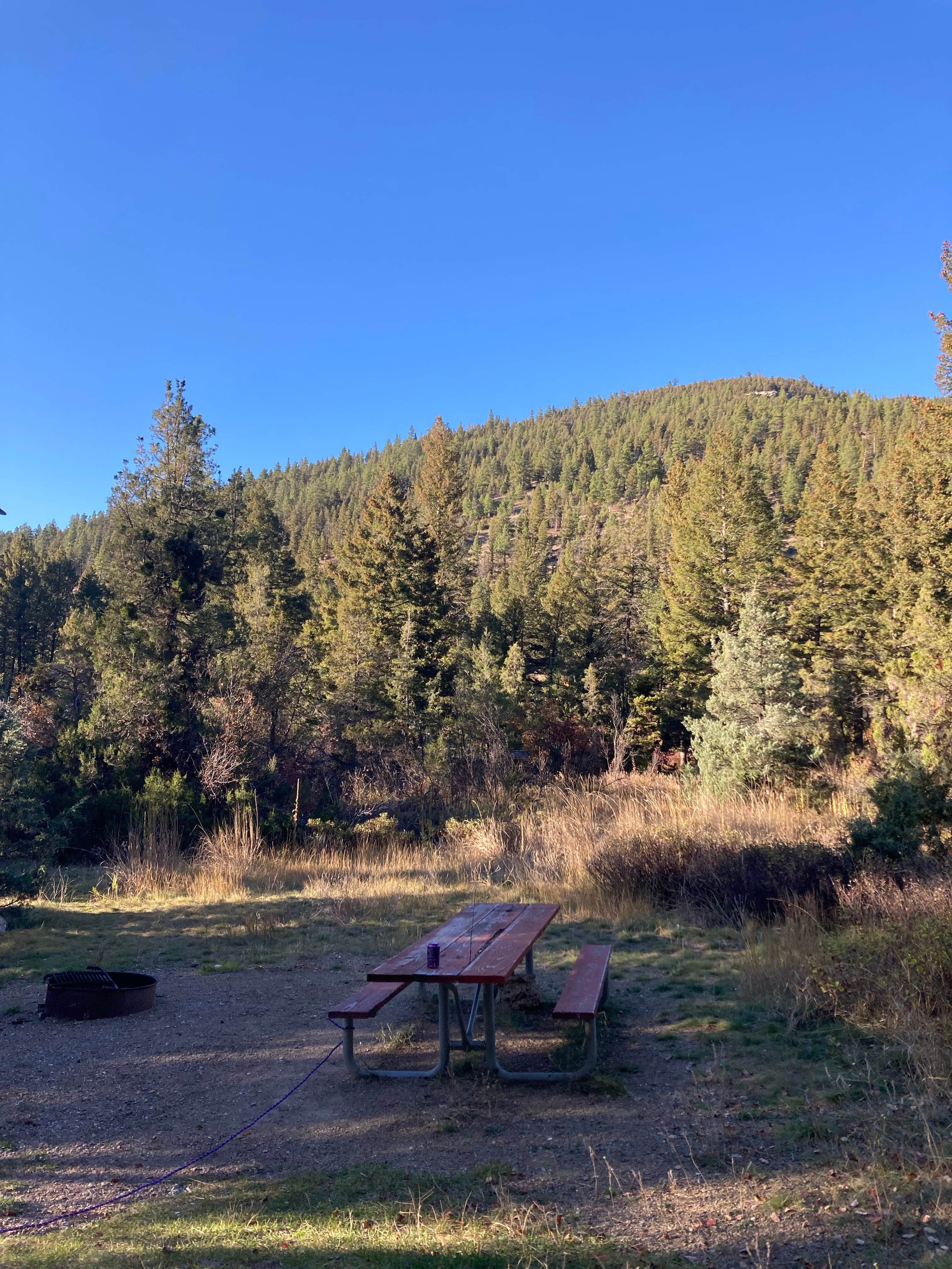 Camper-submitted photo at Vigilante Campground near Lewis and Clark National Forest