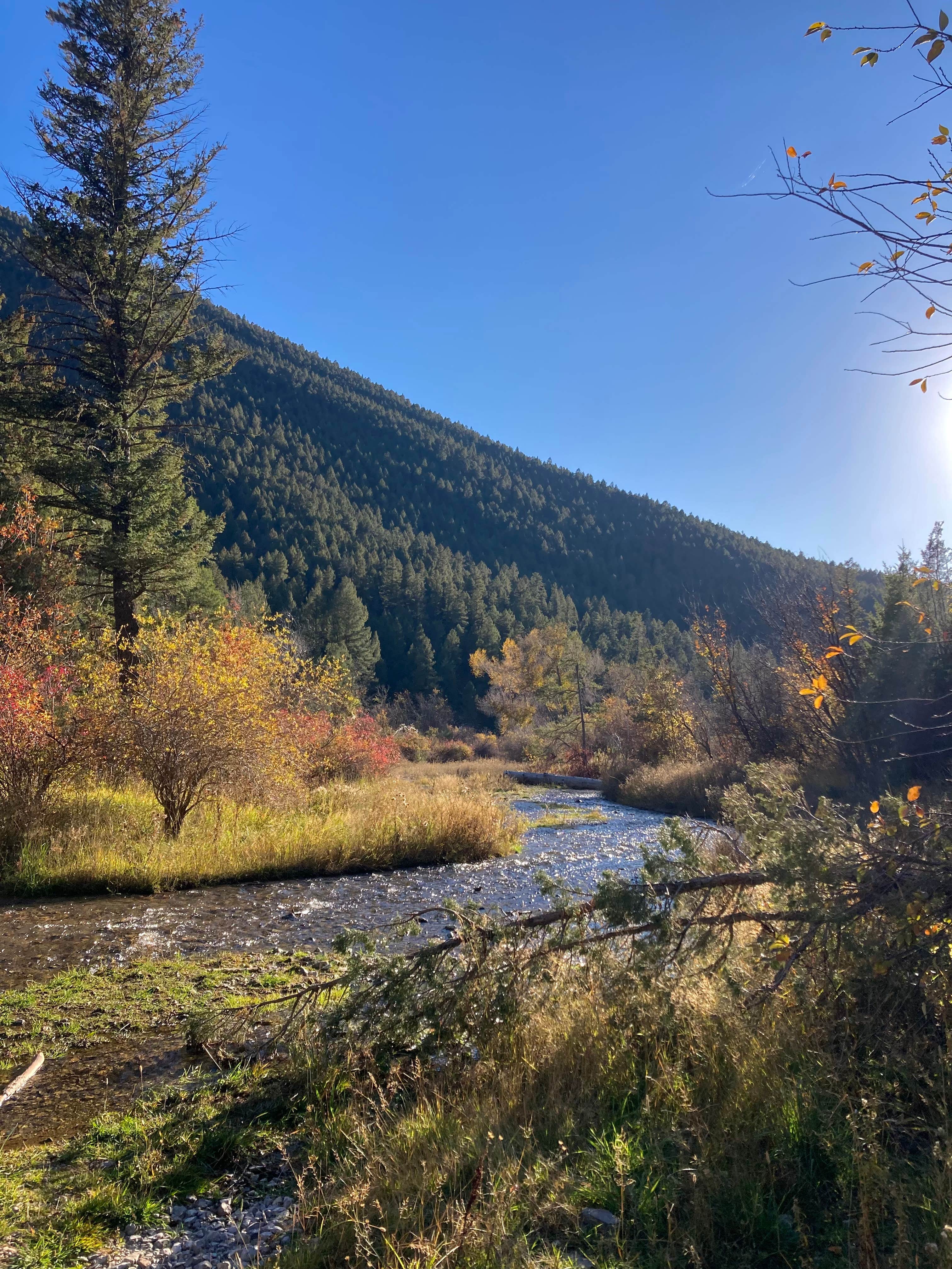 Camper-submitted photo at Vigilante Campground near Lewis and Clark National Forest