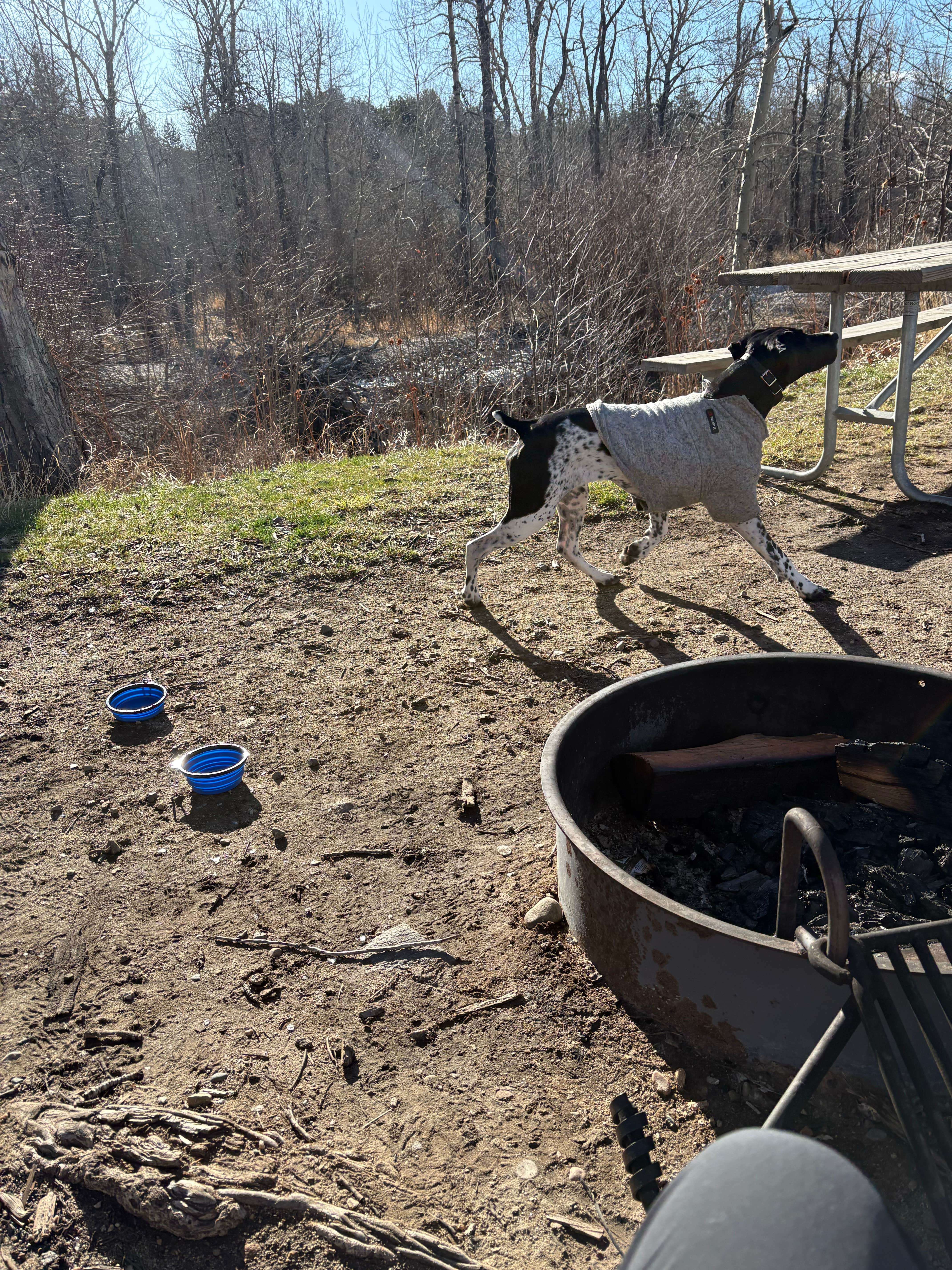 Camping near Bridger City Campground: Water Birch, Roberts, Montana