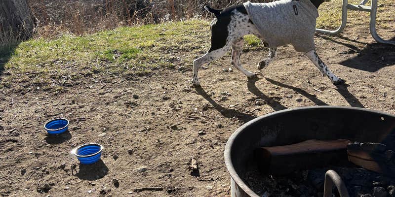 Camper submitted image from Water Birch