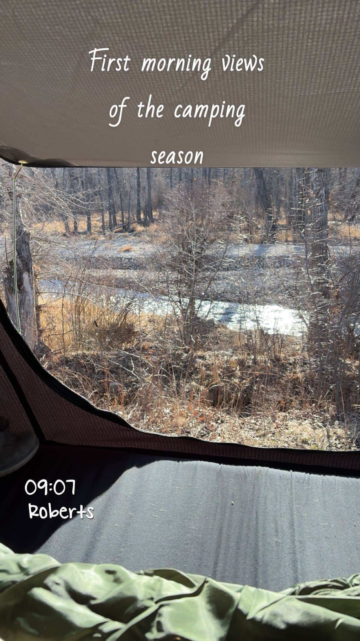 Camper-submitted photo at Water Birch near Red Lodge, MT